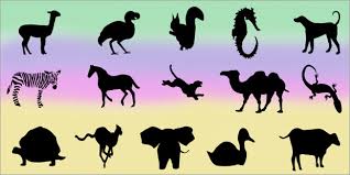 A camel is a horse made by a committee. Https Ec Europa Eu Programmes Erasmus Plus Project Result Content 6e3392f2 9940 4749 Bb3f 04271175c3d4 O2 En Pdf