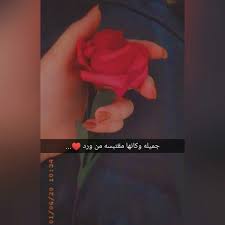 pin by ֆء n ɑ w ya ɑ ɑ on my snapchat special nails girl photography poses rose tumblr