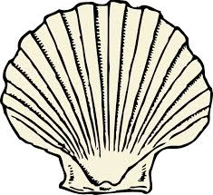 Free seashells vectors 173433 vector art at vecteezy. Scallop Shell Clip Art Free Vector In Open Office Drawing Svg Svg Vector Illustration Graphic Art Design Format Format For Free Download 334 21kb