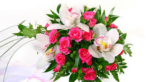 Ein blumenstrauß oder blumen aus der vase benötigen zeit, um zu konservieren. Bilder Strausse Rose Orchideen Blumen Weisser Hintergrund 2560x1440