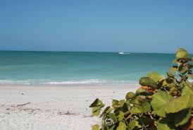 Image result for Sandy Beach Brown 2011 Captiva