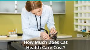 Cats suffering from stomach or intestinal cancer will almost always show changes in eating habits due to tumors in the gastrointestinal tract. Cat Kitten Health Care Costs Check Ups Vet Visits And Care Expenses