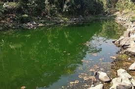 Terletak di perbatasan tiga desa yaitu jerukleueut, padaherang, dan lengkongkulon di kecamatan sindangwangi, kabupaten majalengka, jawa barat, indonesia. Danau Biru Majalengka Tawarkan Keindahan Alam Dan Air Jernih Halaman All Kompas Com