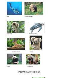 © cambridge university press 2021. Haiwan Hampir Pupus Meaning In English