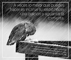 To connect with frases biblicas, join facebook today. 20 Grandes Versiculos Biblicos Acerca De La Paz En La Biblia