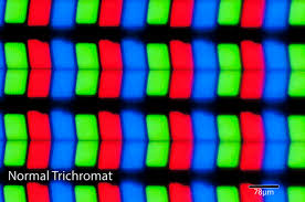 We only dream of what we know. Color Blindness What Does It Look Like Jonesblog