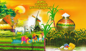 Support us by sharing the content, upvoting wallpapers on the page or sending your own background pictures. Happy Pongal Festival Tamil Wishes Greetings Hd Desktop Wallpaper