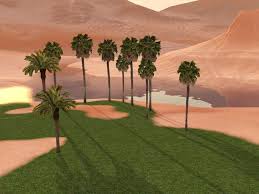 We did not find results for: Sims 3t2 Palm Tree