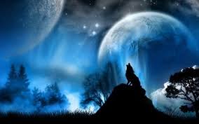 Black wolves with blue eyes wallpapers. 183 Wolf Hd Wallpapers Background Images Wallpaper Abyss