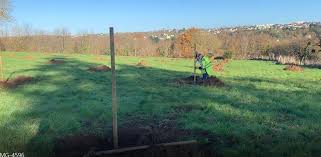 Saint Brieuc La Ville Plante Un Verger D Un Hectare Pour Alimenter Les Cantines Saint Brieuc Maville Com