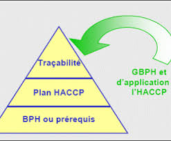 Le Plan De Maitrise Sanitaire Indispensable En Cas De Controle Lesprosdelapetiteenfance