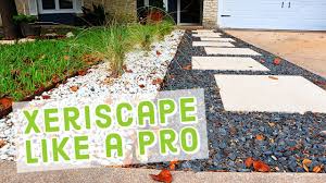 Xeriscape Made Easy The Only Video You Ll Need To Watch Youtube