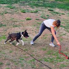 Entrevista a Laura de Lovelace