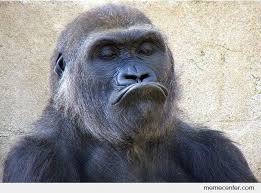 On december 2nd, moderators banned the spread of what they called dog face memes as well as walter clements references. Sad Face By Ben Meme Center