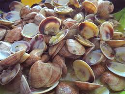 I frutti di mare si possono. I Frutti Di Mare