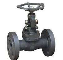 Forged Steel A105 13%Cr Trim Socket Welding Flange RF Globe Valve 300lb