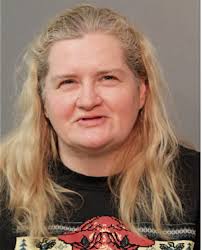 ᐅ Illinois Criminal Records 2009-2026