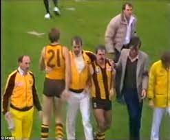 Thanks for the article and update. Only Player Charged For On Field Hit Says Police Should Be Open To Criminal Action Against Afl Star Daily Mail Online