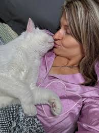 Watch Kitty Shrink (@watchkittyshrink)