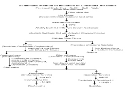 A base is then added to convert alkaloids to basic forms that are extracted with organic solvent (if the extraction was performed with alcohol, it is removed first, and the remainder is. Quinoline Alkaloids In General The Alkaloids Containing Essentially The Quinoline Nucleus Include A Series Of Alkaloids Obtained Exclusively From The Cinchona Ppt Download