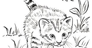 Cat on a fence 9809. Kitten Coloring Page Art Starts