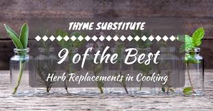 Making a recipe that calls for thyme or want to substitute dried thyme for fresh? Thyme Substitute 9 Of The Best Herb Replacements In Cooking Fruitful Kitchen