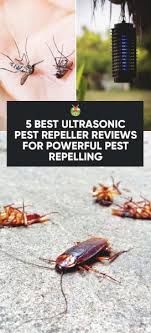 Among all the ultrasonic pest repeller, it has got the coziest design with a this nice ultrasonic pest repeller new electronic pest repellent got some cool features including: 5 Best Ultrasonic Pest Repeller Reviews For Powerful Pest Repelling