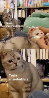 I think our stock price is kinda high right now if the price really is too high, then sooner or later the market will catch up to the fair market value based on what profits tesla is able to deliver. Tesla Stock Price Is Too High Imo Elonmusk