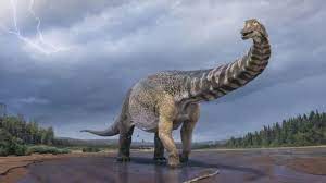 From french dinosaure, from ancient greek δεινός (deinós, fearsome) + σαῦρος (saûros, lizard). Ø¹Ù„Ù…Ø§Ø¡ Ø£Ø³ØªØ±Ø§Ù„ÙŠÙˆÙ† ÙŠØµÙ†ÙÙˆÙ† Ø¯ÙŠÙ†Ø§ØµÙˆØ±Ø§ Ø¨Ø§Ù„Ø£ÙƒØ¨Ø± Ø­Ø¬Ù…Ø§ Ø¹Ù„Ù‰ Ø§Ù„Ø§Ø·Ù„Ø§Ù‚ Bbc News Ø¹Ø±Ø¨ÙŠ