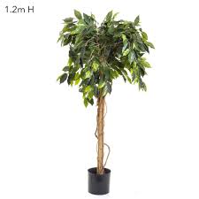 Artificial plant ball topiary tree boxwood home outdoor wedding party decoration artificial boxwood balls garden green plant. Artificial Ficus Ball Tree Topiary 1 2mt On Natural Timber Trunk Artificial
