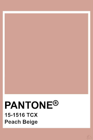 pantone peach beige in 2019 pantone colour palettes