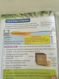 Gerak etinom bakal terjadi pada tanaman yang memerlukan adanya rangsangan. Cikgu Syahairi Gerak Balas Tumbuhan 4h 2018 Facebook
