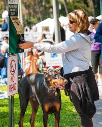 We did not find results for: Pet Waste City Of Fort Lauderdale Fl