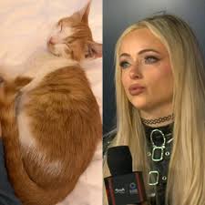 Liv Morgan: "The girls and I found a stray kitten, we took it to the hotel,  fed it, and now it doesn't want to leave my side. I want to take it