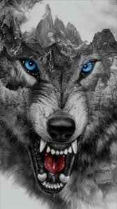 You can also upload and share your favorite wolf 4k desktop wallpapers. 4k Ultra Hd Wolf Wallpaper 4k 720x1280 Download Hd Wallpaper Wallpapertip