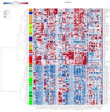 Decoding White Labs Strains From Gallone Et Al 2016