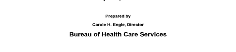 Https Www Michigan Gov Documents Lara Bhcs 2013 Providerdirectory 04 05 2013 416672 7 Pdf