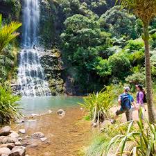 So many adventures in nature, and all so easy to access, auckland is a tonic for the soul. Private Day Tours Auckland Time Unlimited Tours