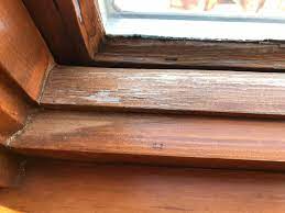 Female hand holding a brush and painting windowsill with a varnish. Refinishing Interior Windows Lake Area Painting Decorating St Paul Mn