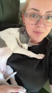 Hi! This is my beautiful little cuddle buddy Milo ☺️ he's 11 weeks old  (3.7kg) so we're very new whippet owners! I wondered if anyone had any  recommendations for leads, collars vs