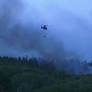 Forest Fire Evacuation in Eifel Highlights Germany's Limited Aerial Firefighting Resources