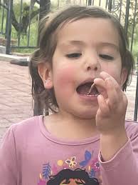 Will hawks still attack chickens with me present?