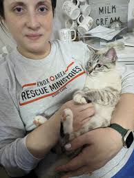 Cats and Guns Community