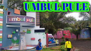 Wahana air dan home stay umbul aga puncak. Jalan Ke Wisata Umbul Pule Dan Umbul Bening Lewat Tulungrejo Jalur Jember Youtube