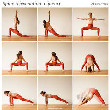 6 Reasons Why You Should Practice Yoga Daily Astro Maverick Yoga Sequences Yoga Asanas Vinyasa Yoga