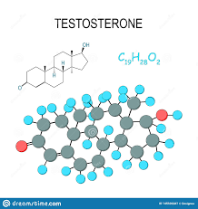This article explains what happens when. Testosteron Chemische Strukturformel Und Modell Des Molek Ls C19h28o2 Vektor Abbildung Illustration Von Hormon Frech 145939287