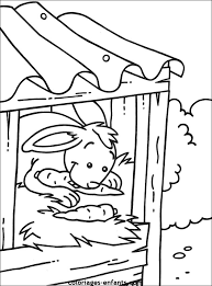 les coloriages d football a imprimer sur enfants com az coloriage oiseau de proie