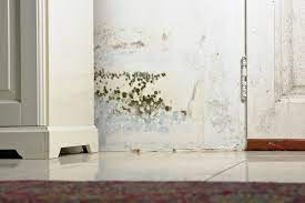 How To Treat Damp | Homebuilding