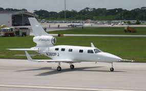 Image result for Piper