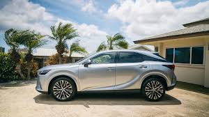 Image result for Iridium 2025 RZ